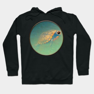 Turtle Hoodie